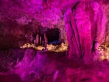 石垣島鍾乳洞に投稿された画像（2023/2/25）