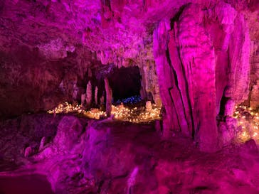 石垣島鍾乳洞に投稿された画像（2023/2/25）