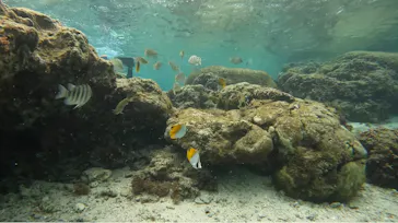 武藤潜水に投稿された画像（2023/2/25）