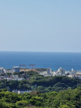 今帰仁城跡に投稿された画像（2023/2/25）