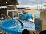 新江ノ島水族館に投稿された画像（2023/2/25）