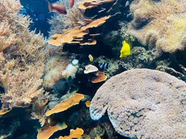 株式会社Gに投稿された画像（2023/2/25）