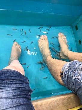 ゼロ距離水族館 伊勢シーパラダイスに投稿された画像（2023/2/25）