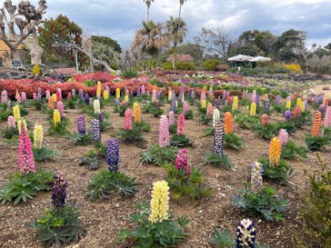 ニューヨークランプミュージアム＆フラワーガーデンに投稿された画像（2023/2/25）