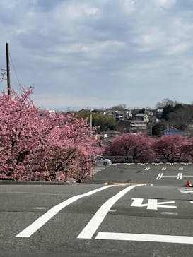 伊豆ぐらんぱる公園に投稿された画像（2023/2/25）