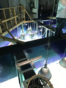 サンシャイン水族館に投稿された画像（2023/2/25）