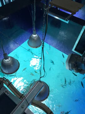 サンシャイン水族館に投稿された画像（2023/2/25）