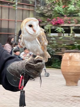 富士花鳥園に投稿された画像（2023/2/25）