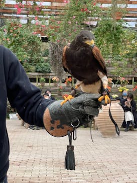 富士花鳥園に投稿された画像（2023/2/25）