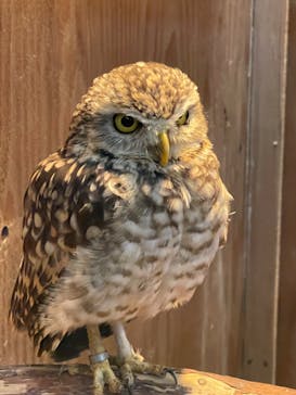 富士花鳥園に投稿された画像（2023/2/25）