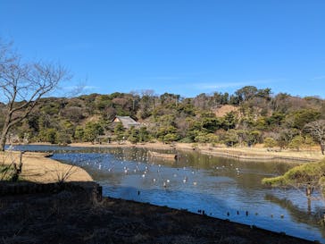 三溪園に投稿された画像（2023/2/25）