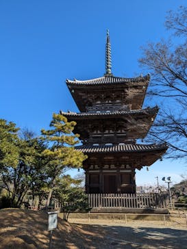 三溪園に投稿された画像（2023/2/25）