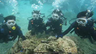 武藤潜水に投稿された画像（2023/2/25）