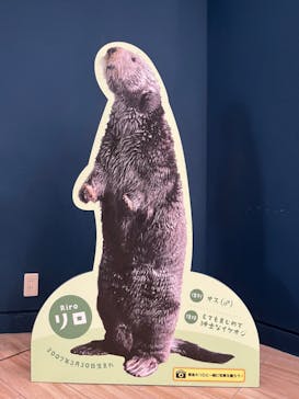 マリンワールド海の中道に投稿された画像（2023/2/25）