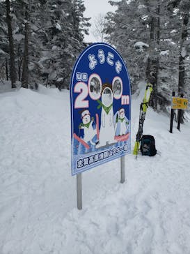 志賀高原焼額山スキー場に投稿された画像（2023/2/25）