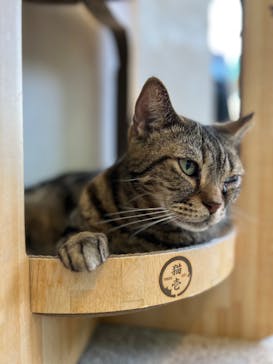 Moff animal cafe iias つくば店に投稿された画像（2023/2/25）