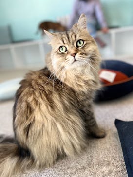 Moff animal cafe iias つくば店に投稿された画像（2023/2/25）