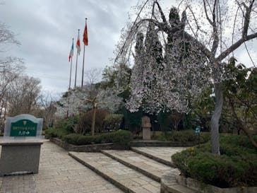 星の王子さまミュージアム 箱根サン=テグジュペリに投稿された画像（2023/2/25）