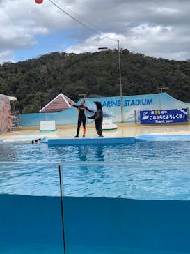 下田海中水族館に投稿された画像（2023/2/25）