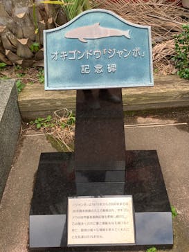 下田海中水族館に投稿された画像（2023/2/25）