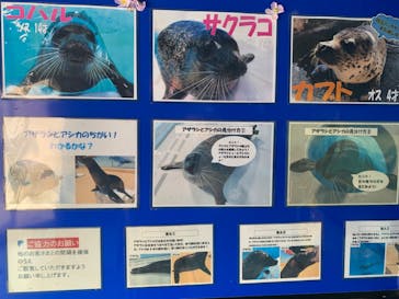 下田海中水族館に投稿された画像（2023/2/25）