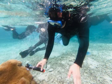 宮古島 ADVENTURE PiPi（ミヤコジマ アドベンチャー ピピ）に投稿された画像（2023/2/25）