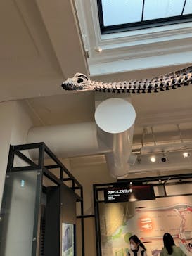 国立科学博物館に投稿された画像（2023/2/25）