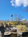 天王寺動物園に投稿された画像（2023/2/25）
