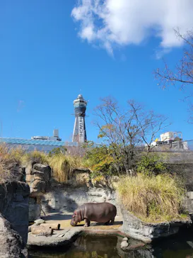 天王寺動物園に投稿された画像（2023/2/25）