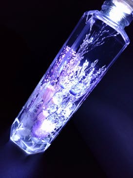 ずこうしつ〜sugamo〜に投稿された画像（2023/2/25）