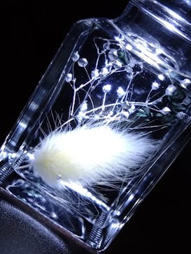 ずこうしつ〜sugamo〜に投稿された画像（2023/2/25）