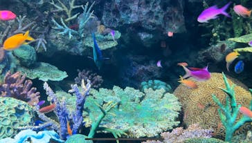 サンシャイン水族館に投稿された画像（2023/2/25）