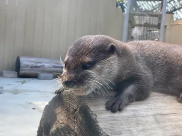 横浜・八景島シーパラダイスに投稿された画像（2023/2/25）