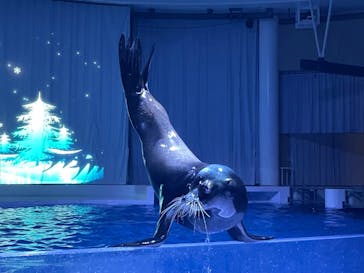 アクアワールド茨城県大洗水族館に投稿された画像（2023/2/25）