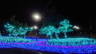 新江ノ島水族館に投稿された画像（2023/2/25）