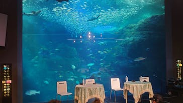 新江ノ島水族館に投稿された画像（2023/2/25）