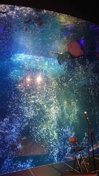 新江ノ島水族館に投稿された画像（2023/2/25）