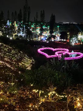 美らヤシパークオキナワ・東南植物楽園に投稿された画像（2023/2/25）