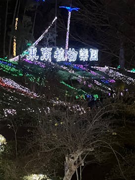 美らヤシパークオキナワ・東南植物楽園に投稿された画像（2023/2/25）