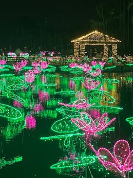 美らヤシパークオキナワ・東南植物楽園に投稿された画像（2023/2/25）