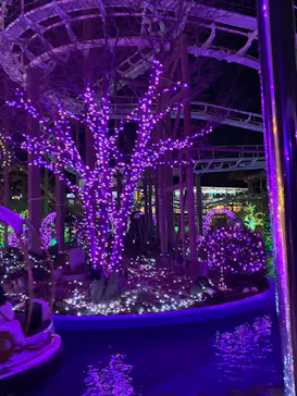 ひらかたパークに投稿された画像（2023/2/25）