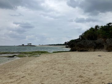 沖縄美ら海水族館に投稿された画像（2023/2/25）