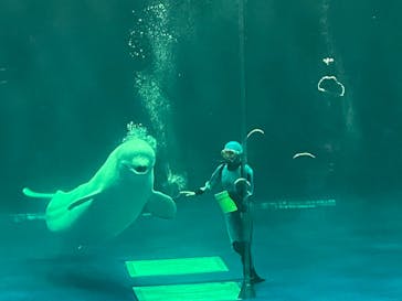 島根県立 しまね海洋館に投稿された画像（2023/2/25）