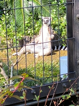 到津の森公園に投稿された画像（2023/2/25）