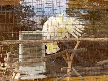 到津の森公園に投稿された画像（2023/2/25）