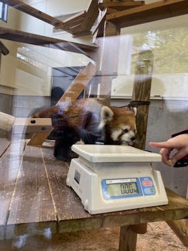 到津の森公園に投稿された画像（2023/2/25）