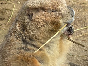 到津の森公園に投稿された画像（2023/2/25）