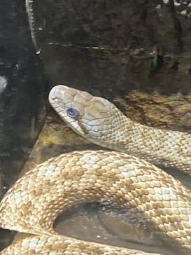 沖縄こどもの国に投稿された画像（2023/2/25）