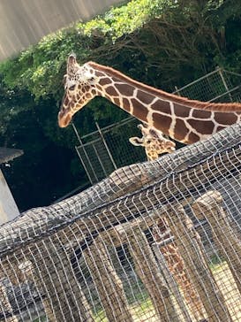 沖縄こどもの国に投稿された画像（2023/2/25）