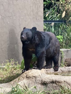 沖縄こどもの国に投稿された画像（2023/2/25）